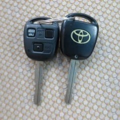 コンパクトカーは女性にもオススメです