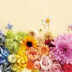 新規スタートします。足立区西新井にて、月に3回　西新井初心者クラ...