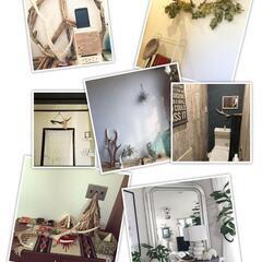 鹿の角(エゾシカ) 特大サイズ インテリアの画像