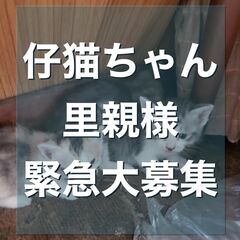 ☆里親様みんな決まりました☆