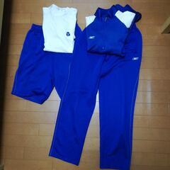 平塚中等教育学校　男子体操服一式