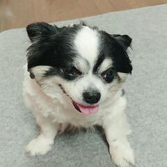 食堂のホールの画像