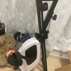 エアロバイク　アルペン　決まりました