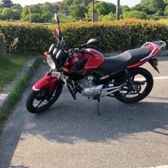 YBR125