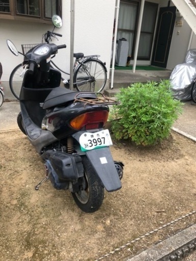 ホンダ ライブディオ 原付き 2024