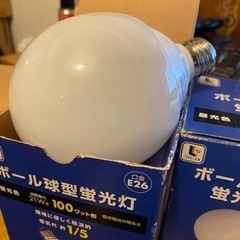 ボール球型蛍光灯100ワット形　昼光色　2個