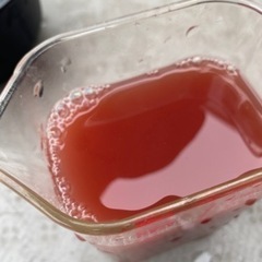 【格安】大特価！　PSB 光合成細菌　2000ml 2L メダカ　針子　稚魚　肥料　の画像