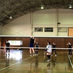 鎌ヶ谷市でママさんバレーやりたい人募集中‼️グリーンクラブ