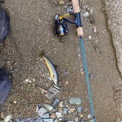 渓流釣り仲間募集
