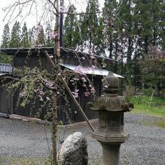 造園、剪定、外構工事などのバイトを募集。の画像