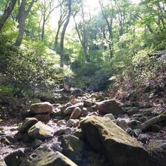 大阪社会人初心者登山サークル🔰