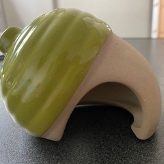 どんぐりハウス