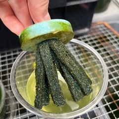 燐光めだかの卵　5/27までの画像