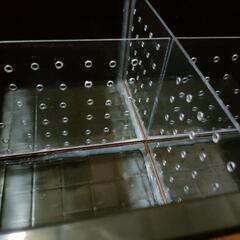 NV13黒　４分割めだか飼育容器の画像