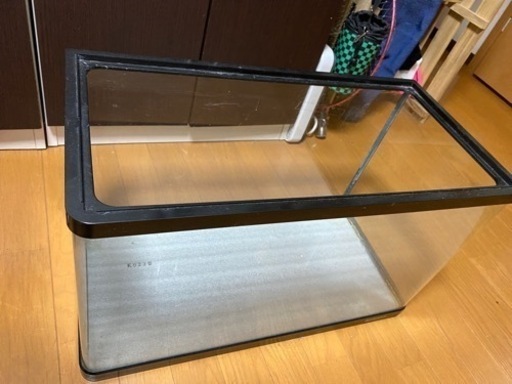 ガラス水槽