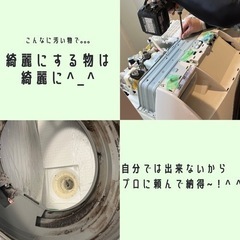 洗濯槽クリーニング【ドラム式可】