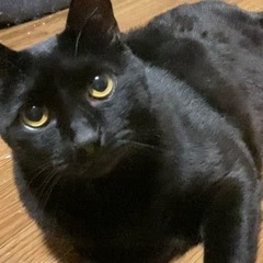 決まりました！！ - 和歌山市