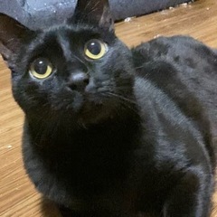決まりました！！
