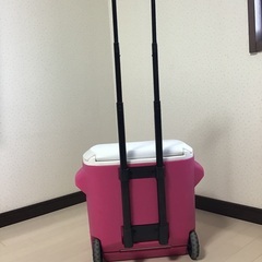 Colemanクーラーボックスの画像
