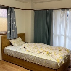 ニトリのゼミダブルペット