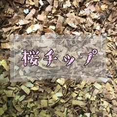 桜チップ
