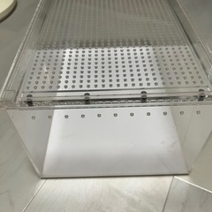 爬虫類　レプタイルボックス　の画像