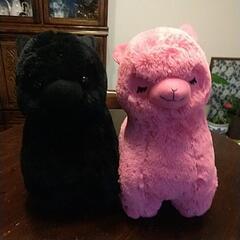 可愛いアルパカぬいぐるみペア、ピンク、黒