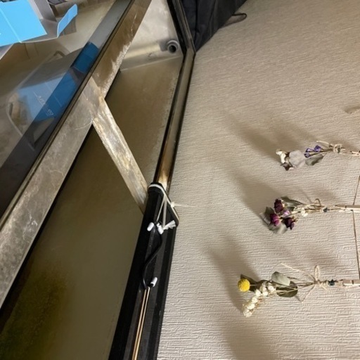 決まりました！アクリル水槽