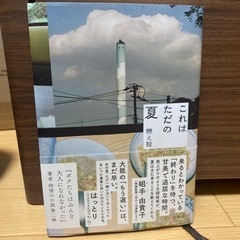 本　これはただの夏　燃え殻