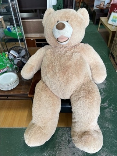 コストコ　巨大　くまさんのぬいぐるみ！