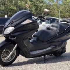 マジェスティ250Cの画像