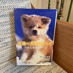 読み物　天国の犬ものがたり　3冊セットの画像