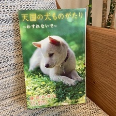 読み物　天国の犬ものがたり　3冊セットの画像