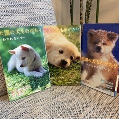 読み物　天国の犬ものがたり　3冊セット
