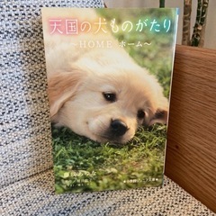 読み物　天国の犬ものがたり　3冊セットの画像