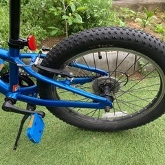 有名ブランド TREK 子供用自転車 20インチ Precaliber20身長114～132cm の画像
