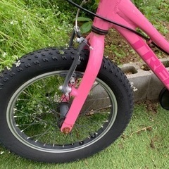 有名ブランド TREK 子供用自転車 16インチ Precaliber 身長99-117cm の画像