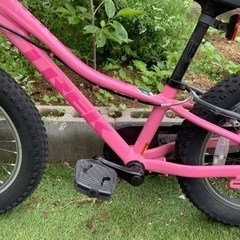 有名ブランド TREK 子供用自転車 16インチ Precaliber 身長99-117cm の画像