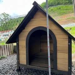 犬小屋