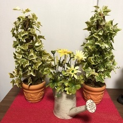 可愛いインテリア　3点セット
