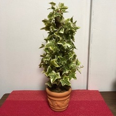 可愛いインテリア　3点セットの画像