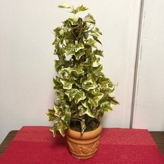 可愛いインテリア　3点セットの画像