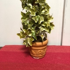 可愛いインテリア　3点セットの画像