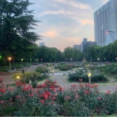 大阪市内ウォーキング🚶‍♀️