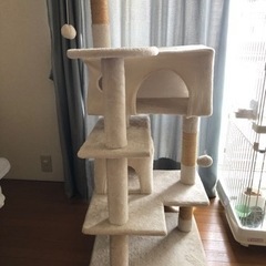 キャットタワー受け渡し者決定。