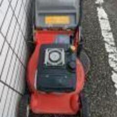 自走式エンジン芝刈り機【リライズ野田愛宕店】【店頭取引限定】【中古】IT3E9TCRTWHKの画像