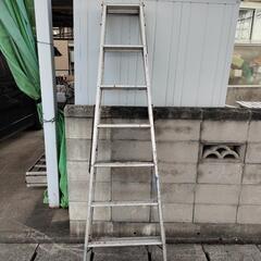 脚立　210cm