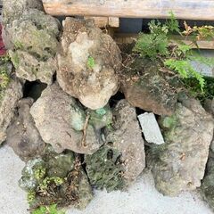 ★庭作り・水槽などに!!・山口県山陰地方の溶岩石・25個・3㎏～20㎏★の画像