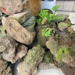 ★庭作り・水槽などに!!・山口県山陰地方の溶岩石・25個・3㎏～20㎏★の画像