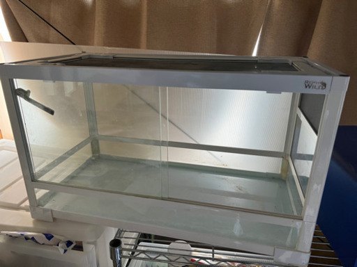 爬虫類ケージ　中古　三晃商会　ＳＡＮＫＯ　レプティワイルド　パンテオン　ホワイト　ＷＨ６０３５（６０．５×３０．５×３５ｃｍ）